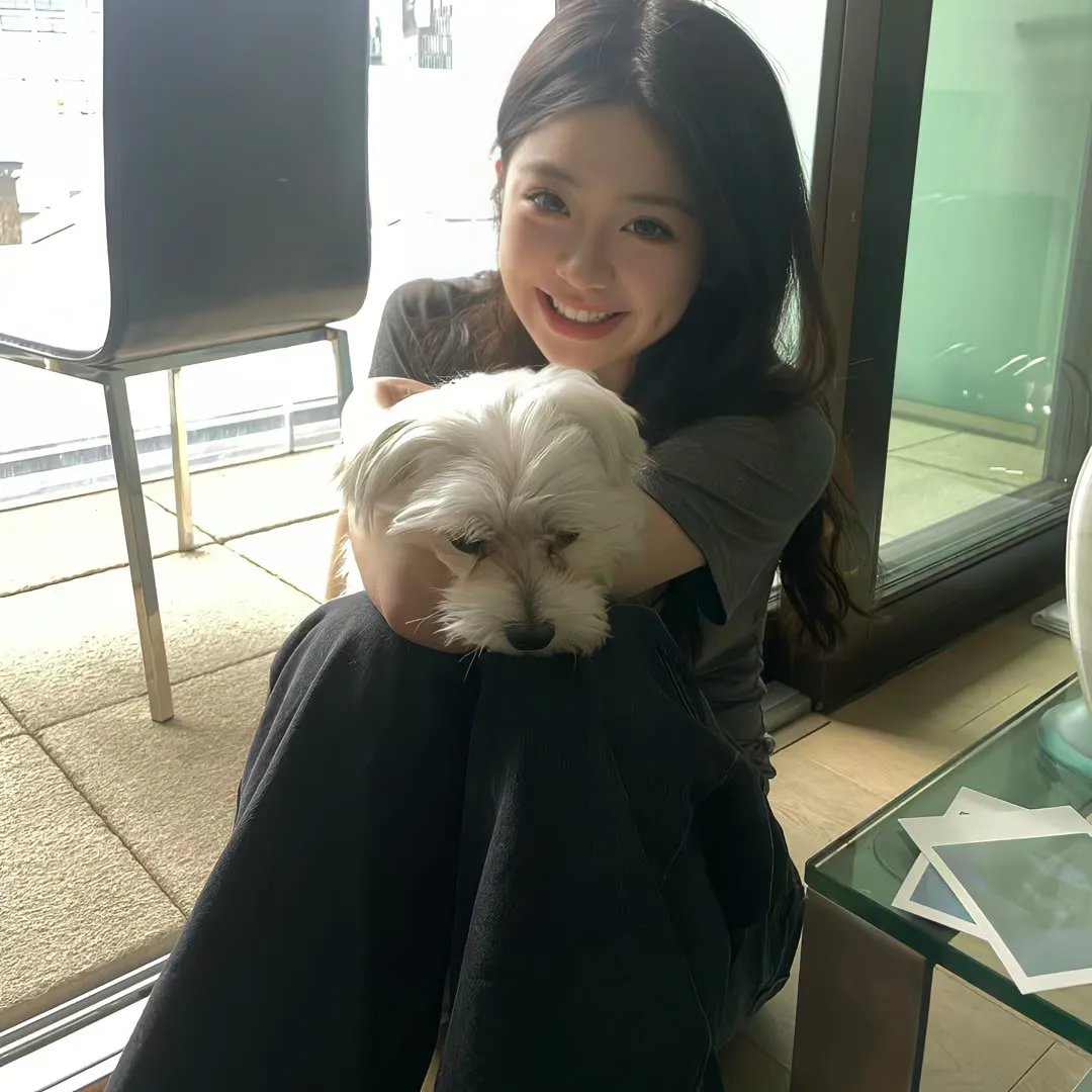 决算！忠臣藏